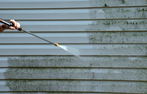 Best Driveway Pressure Washing  in Greenville, FL